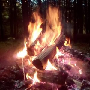 Meet your Posher, Hilda